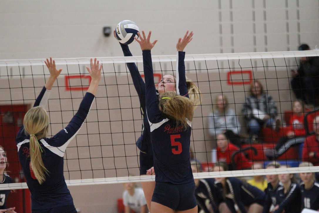 York vs. Platteview volleyball 23.jpeg